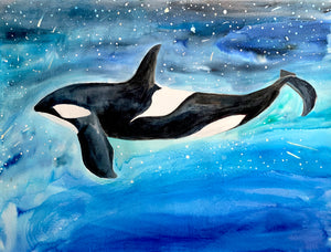 Orca Whale Killer Whale Original Watercolor