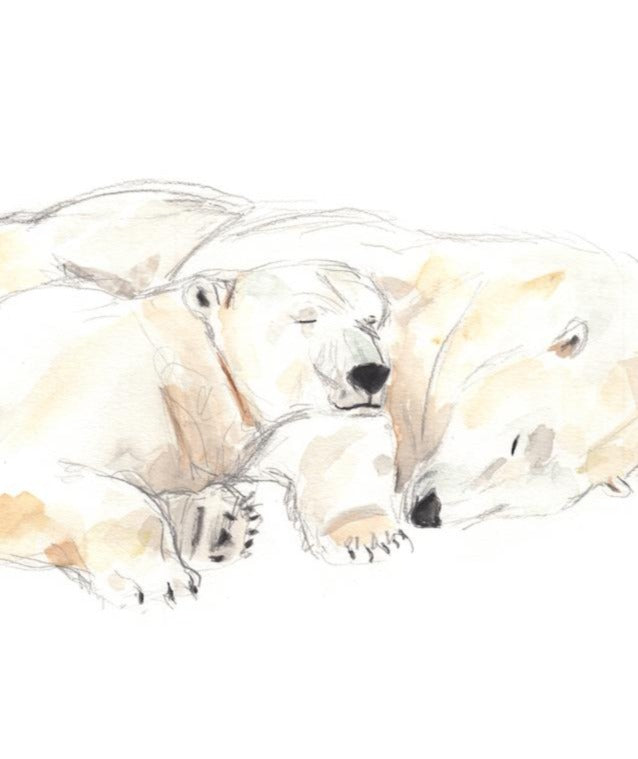 Polar bears winter nap , polar bear painting, watercolor and drawing