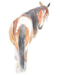 Horse Painting art print