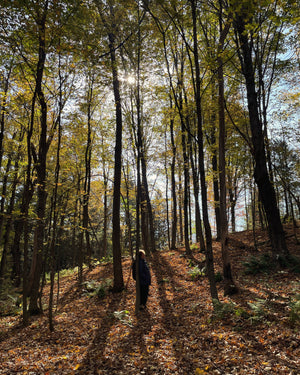 FOREST, SENSES & PRESENCE