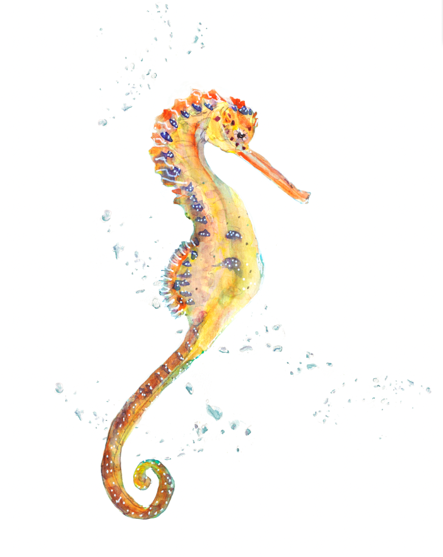 Sea Horse Print NEW! Ocean art print