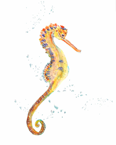 Sea Horse Print NEW! Ocean art print