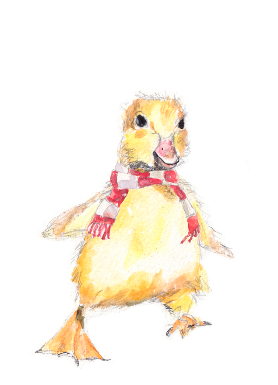 Choix de 10 cartes de Noël avec oiseau, watercolor, by Sophie Dufresne Guindon, QC, Canada (Copy)