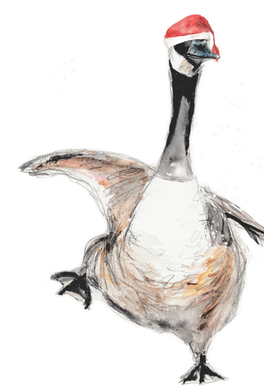 Choix de 10 cartes de Noël avec oiseau, watercolor, by Sophie Dufresne Guindon, QC, Canada (Copy)