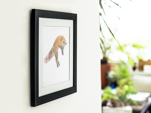 Watercolour jumping fox on a white background, made by Sophie Dufresne Guindon, Québec Artist