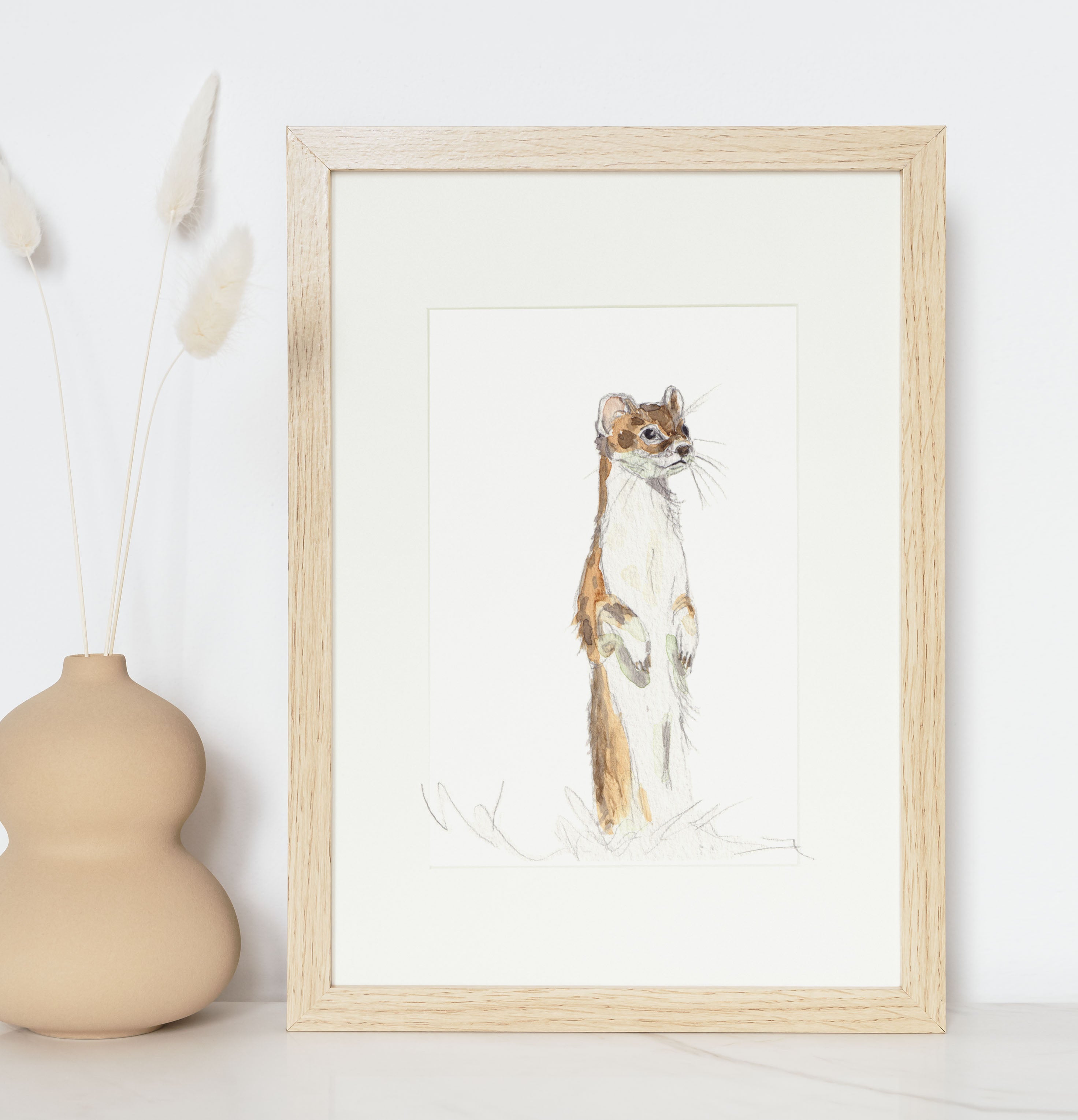 Ermine, Weasel, Mink, marten, minimalist art, painting, watercolor forest animals of Quebec, by Sophie Dufresne Guindon