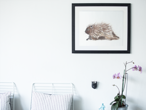 Porcupine, wall art print, painting, watercolor forest animals of Quebec, by Sophie Dufresne Guindon