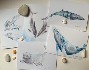 MINKE WHALE greeting card, minimalist art sea ocean wall art