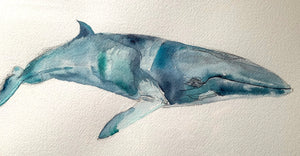 Original Watercolor Minke Whale