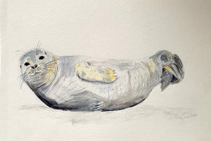 Seal on shore, Original Watercolor Whale