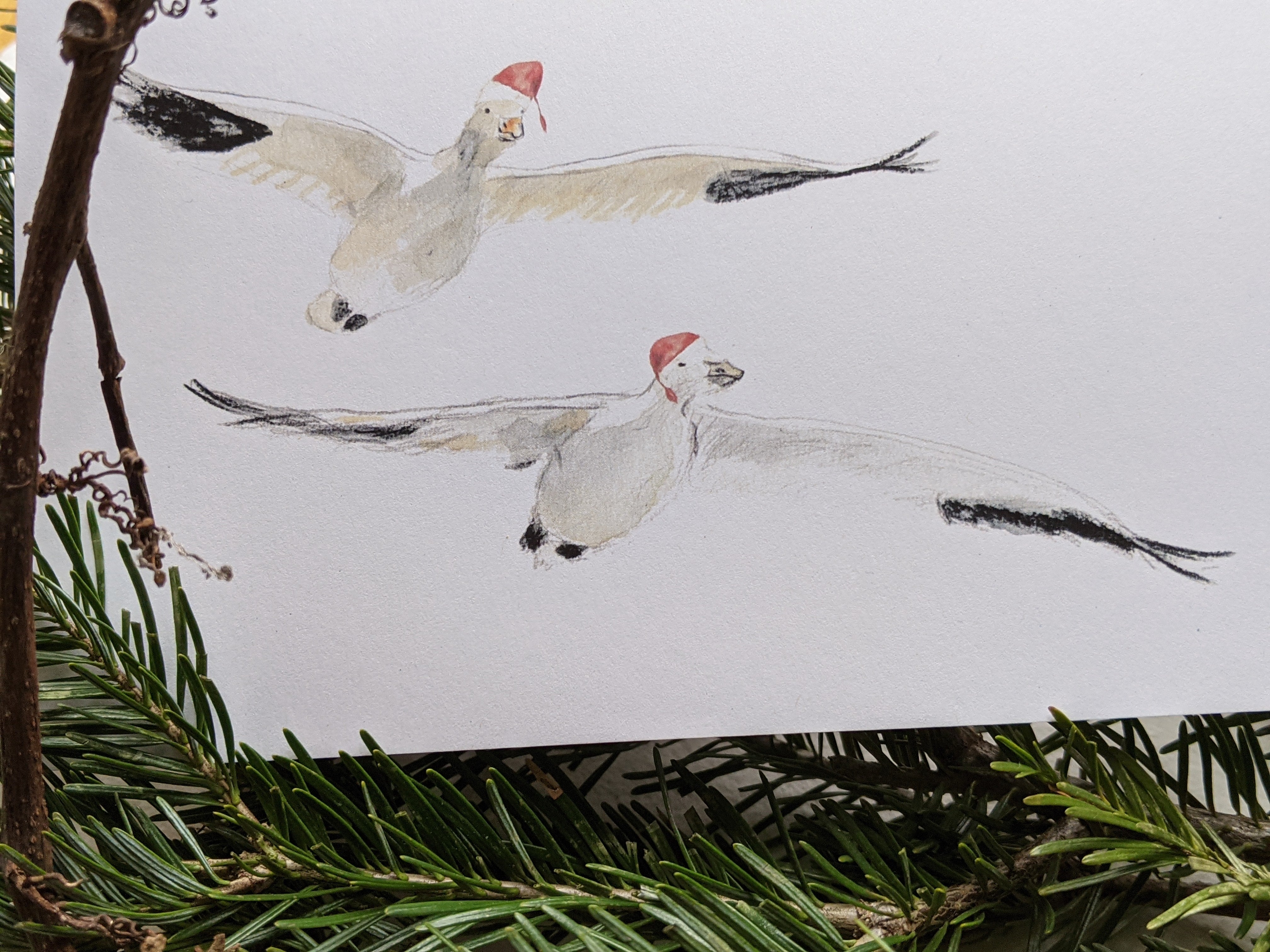 White gooses greeting card, little red hats