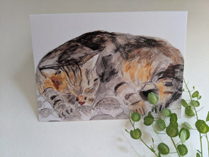 CATS SET of 5 greeting cards