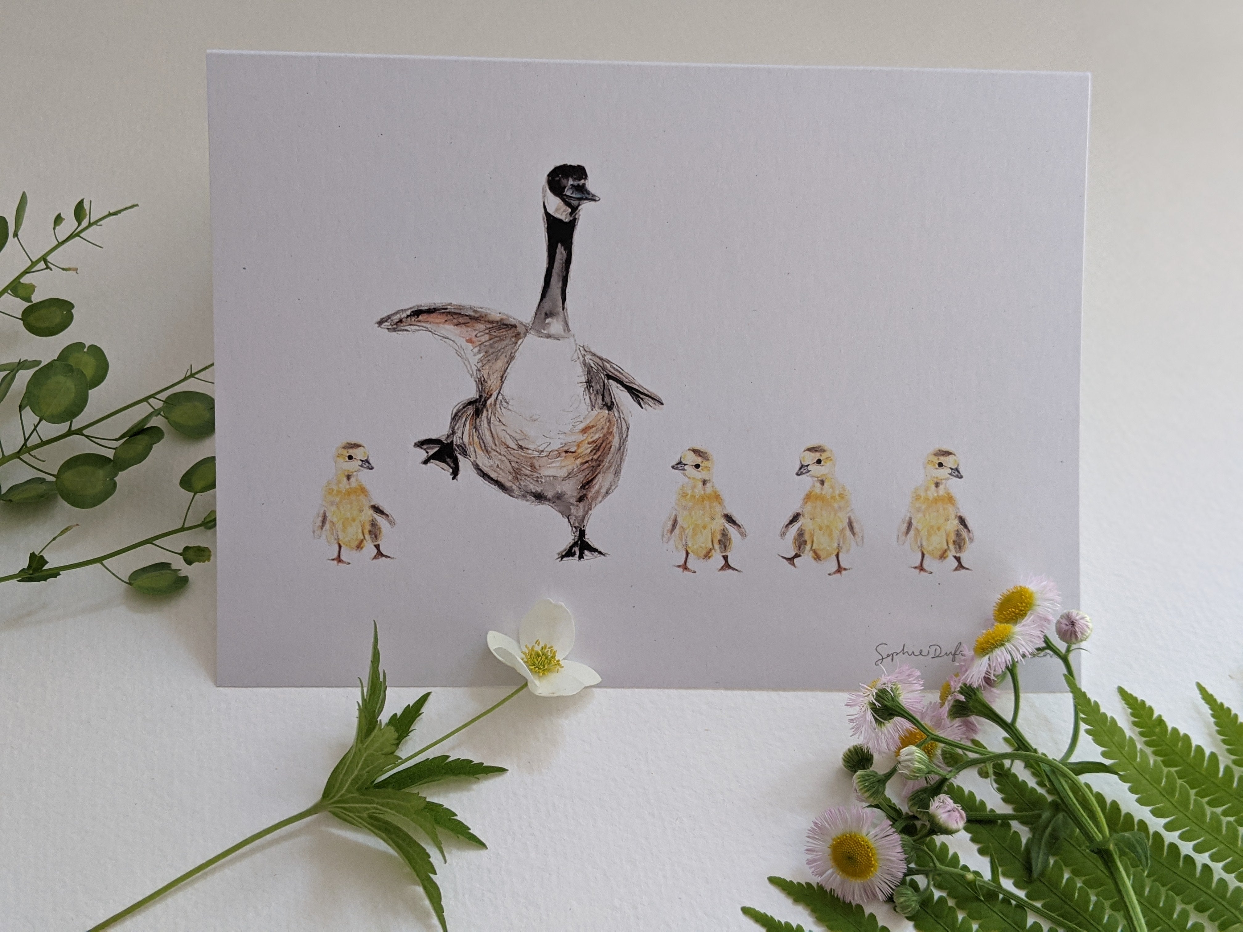 SET of 5 greeting cards, families, motherhood, babies, parenting