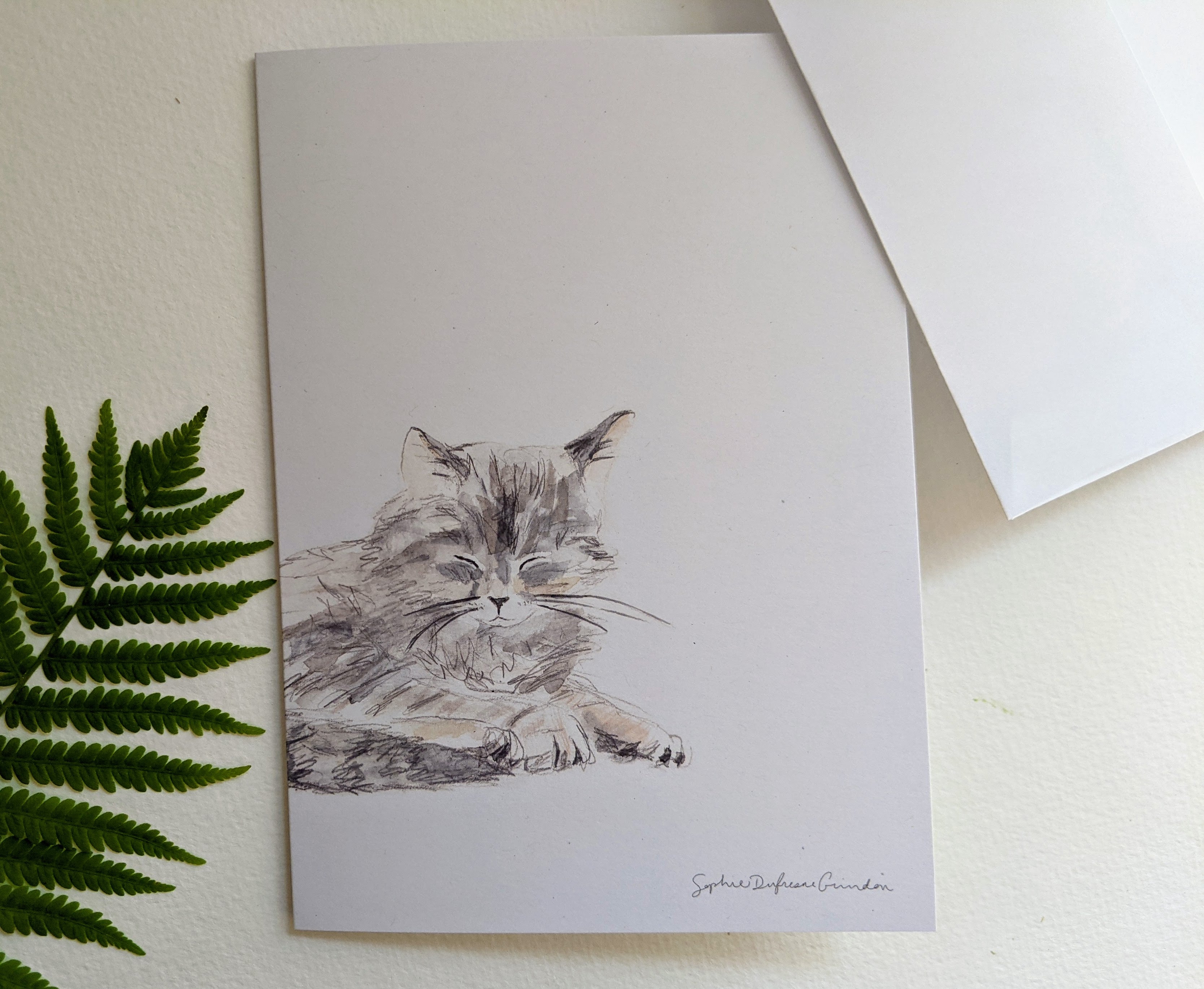 CATS SET of 5 greeting cards