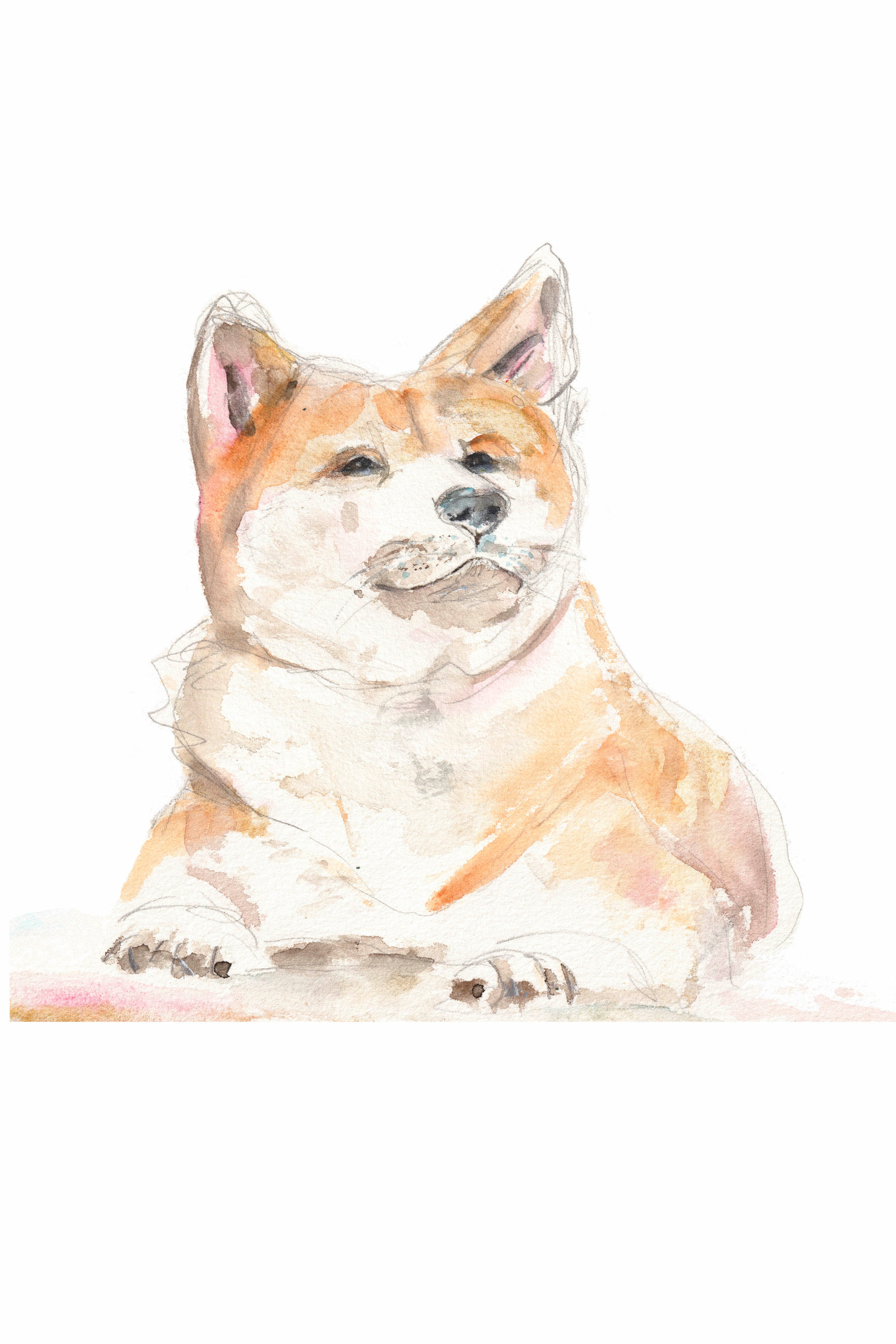 Dog Original Art, Shiba Inu, Corgi, dogs watercolor