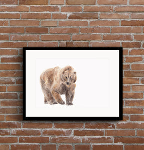 Grizzli bear art print, kodiak brown bear illustration, watercolor wall art