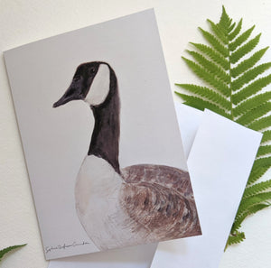GEESE SET of 5 greeting cards, wild canadian goose