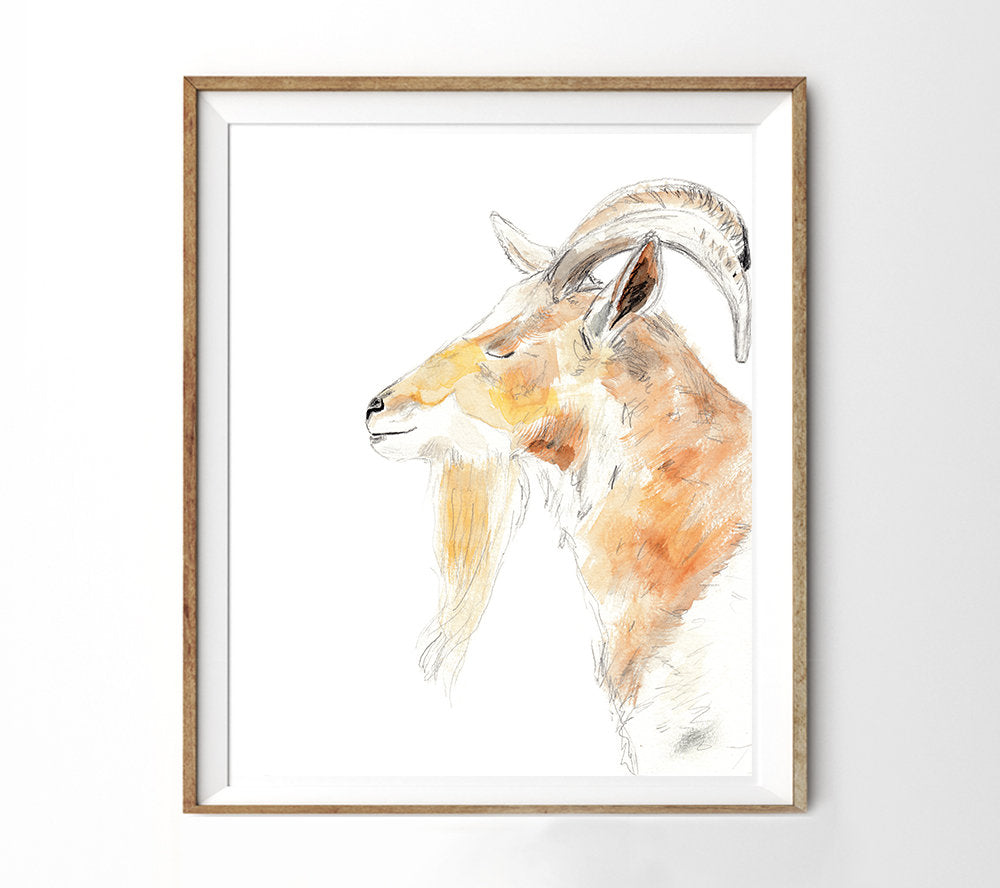 Watercolor Goat Art Print, Farm Animal Giclée Print