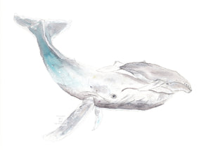 Illustration Baleine à bosses et son petit