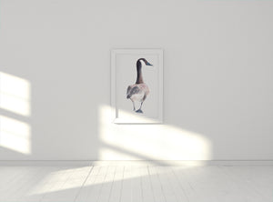 Calm wild goose Painting art print, birds wall decor, animals prints