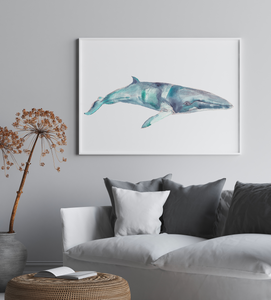 Minke Whale Art print